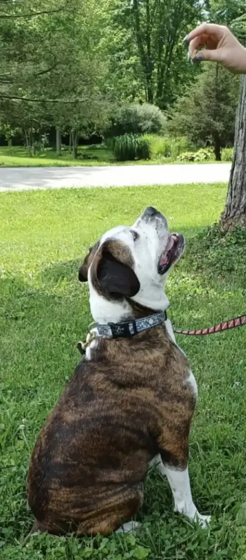 Amos photo 3