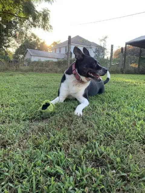 Maggie photo 3