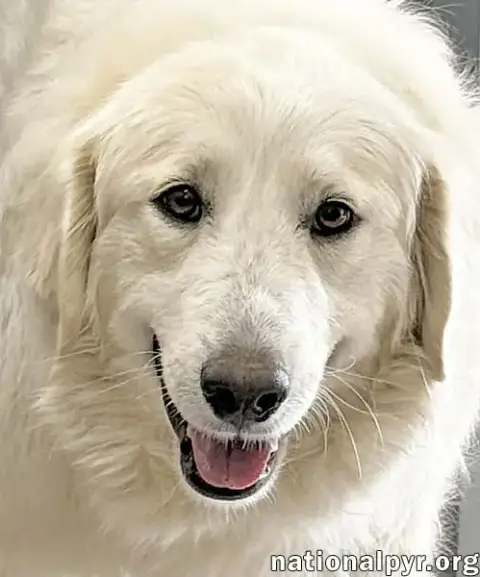 Jolene In Tn photo 2