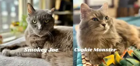 Smokey Joe / Cookie Monster photo 4