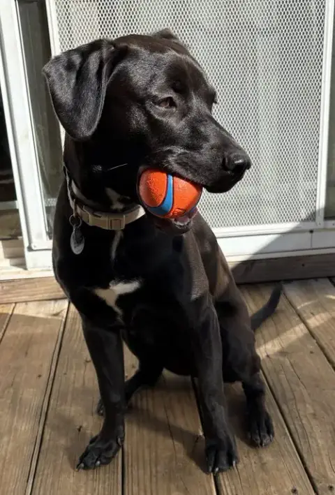 Cosmo