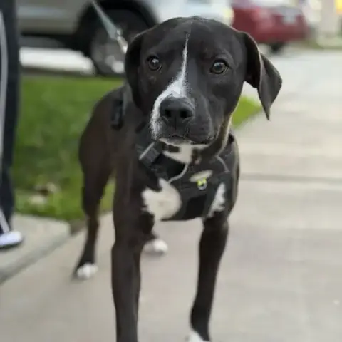 Max