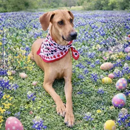 Ellie Mae