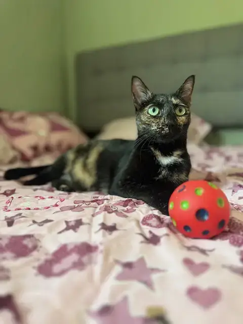 Marley photo 2