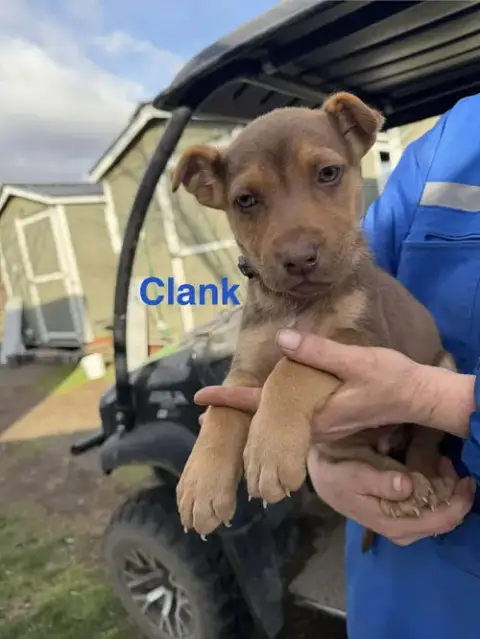 Clank photo 5