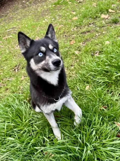 Pippy photo 2