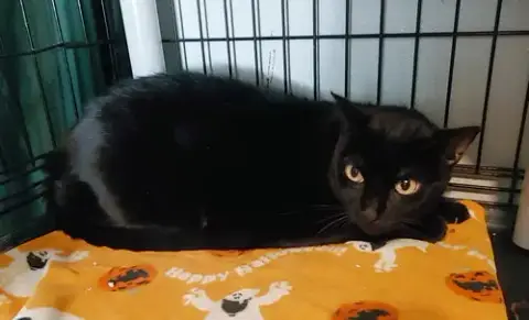 Stormy