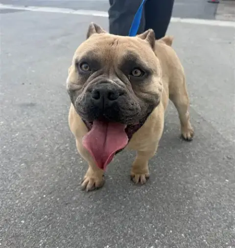 Zeke