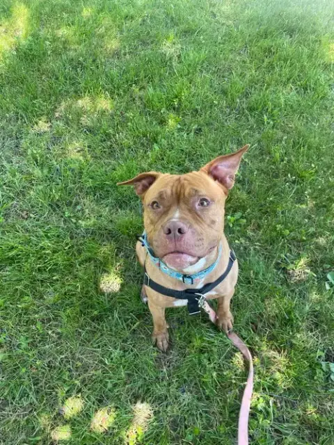 Fiona photo 2