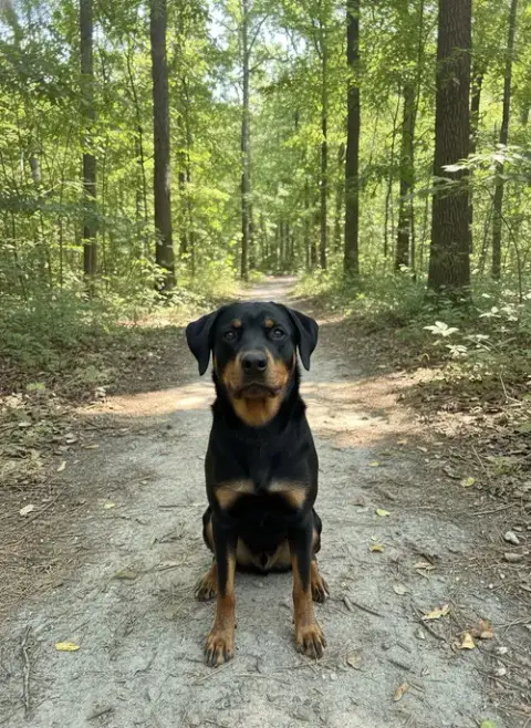 Lil'Man photo 3