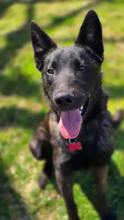Ripley photo 3