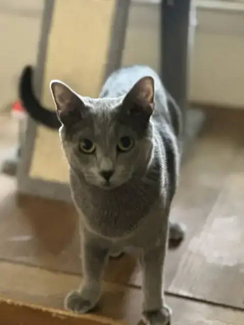 Otto photo 3