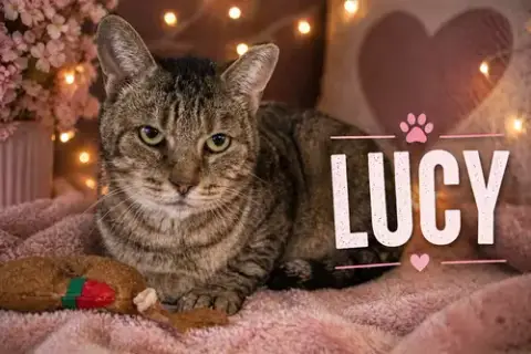 Lucy