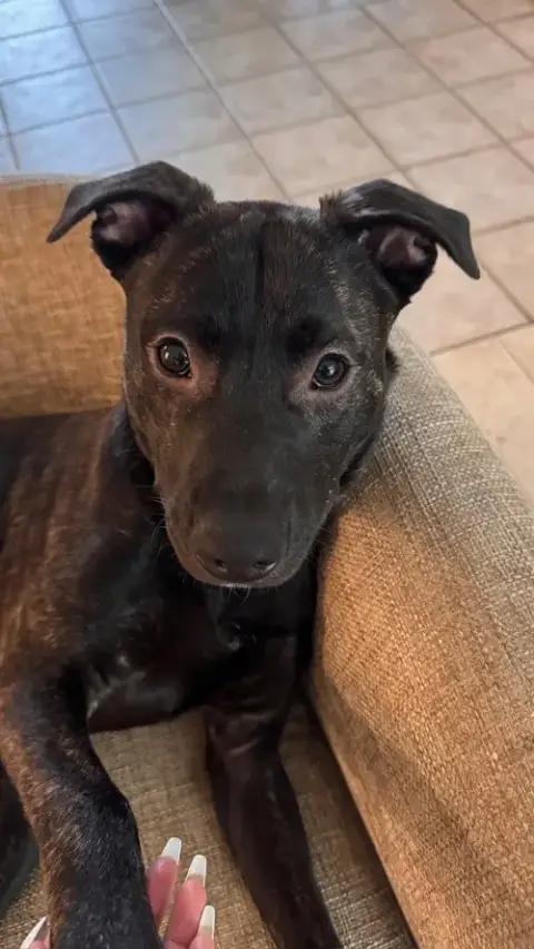 Finn photo 2