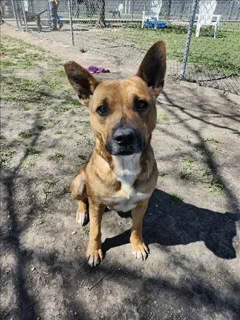 Duncan