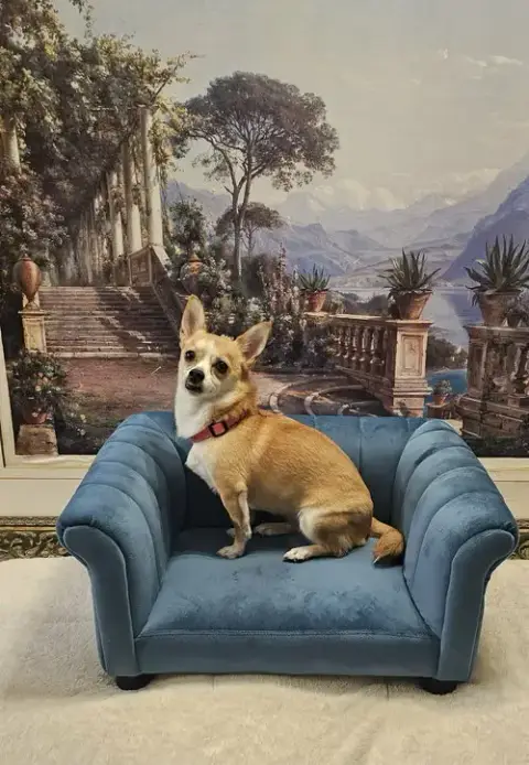 Nala- Brave Beauty photo 2