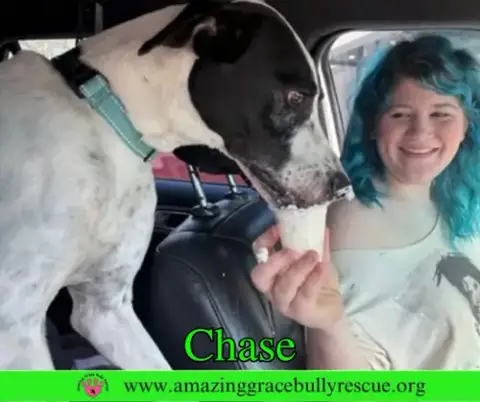 Chase photo 3