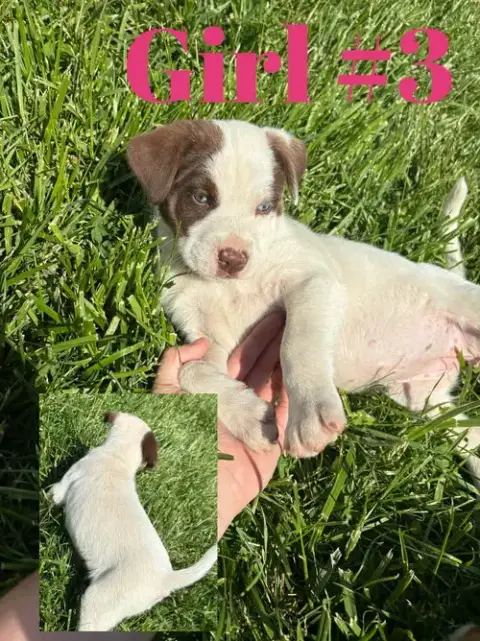 Delilah photo 2