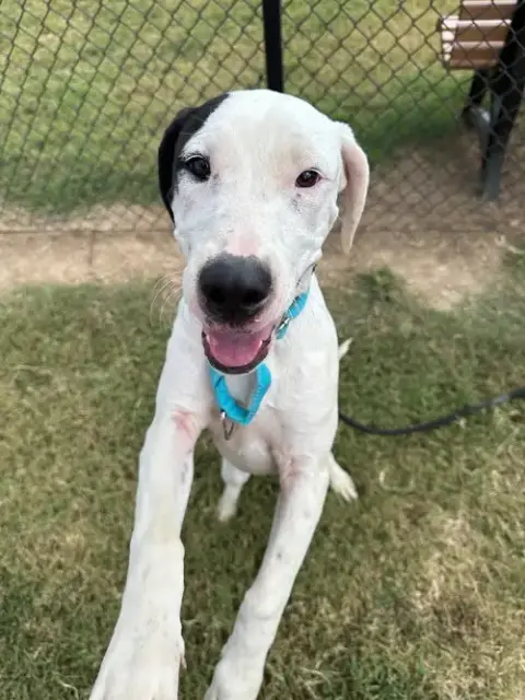 Wally photo 3