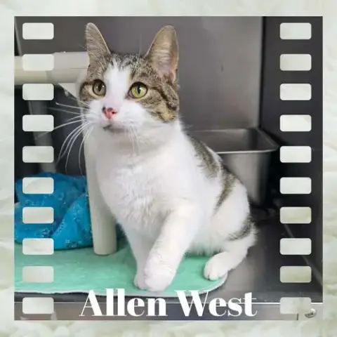 Allen West