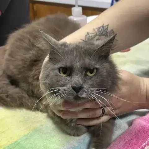Ms Butters