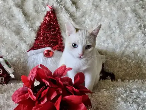 Freya photo 2