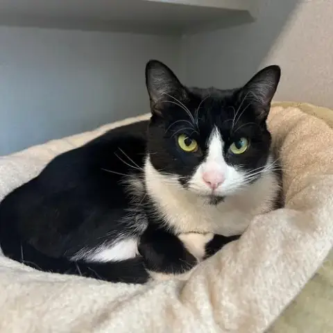 Samantha