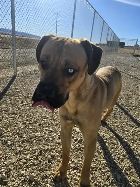 Darwin