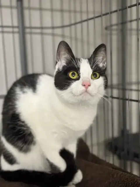 Rita