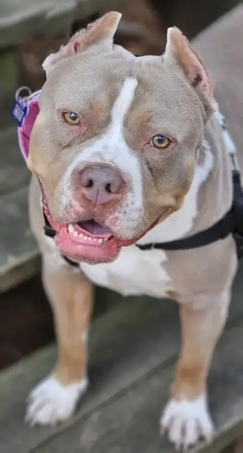 Trudy