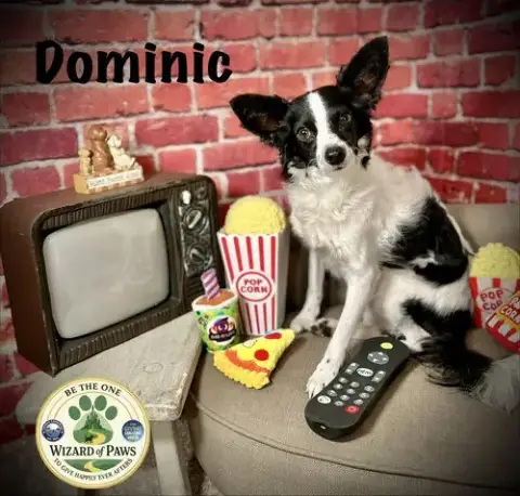 Dominic