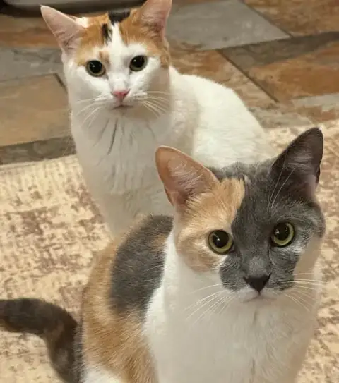 Amara-Renata photo 2