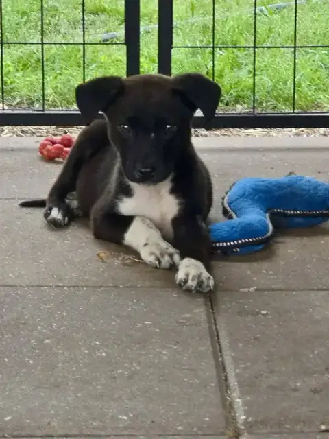 Sammy- Mr Personality photo 2