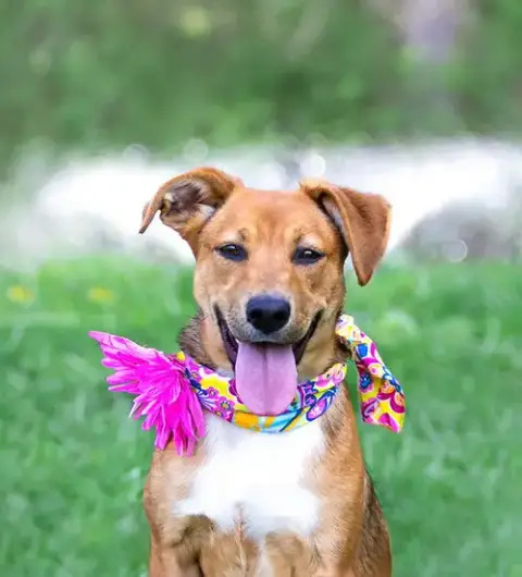 Carmelita photo 4