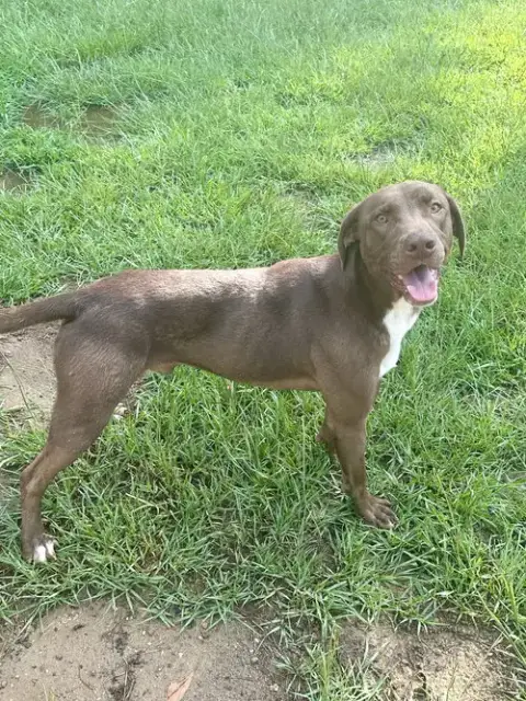 Tucker photo 5