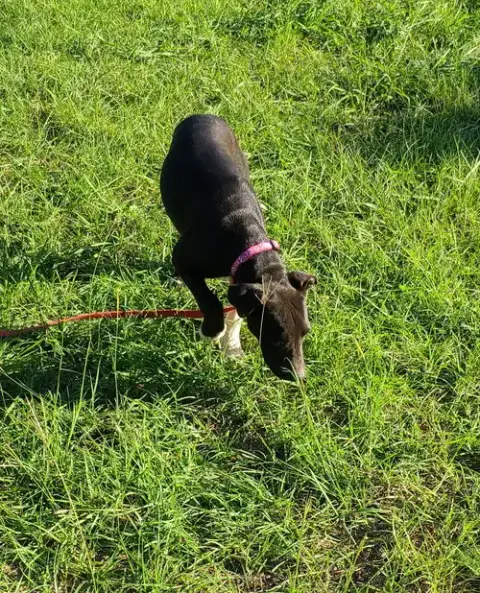Oakley photo 3