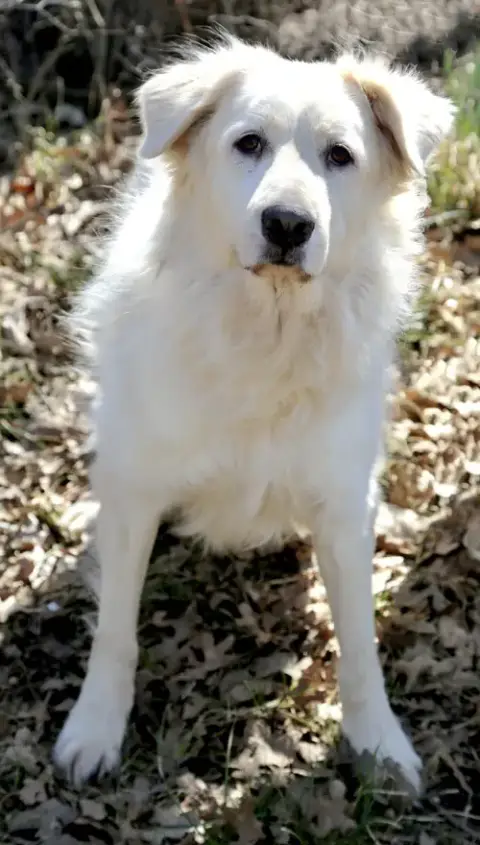 Madison photo 4