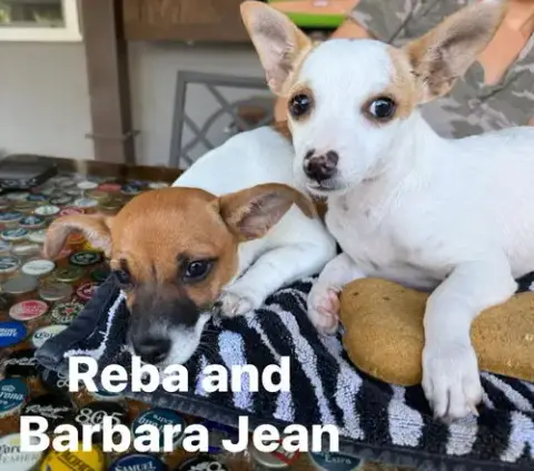 Barbara Jean photo 3