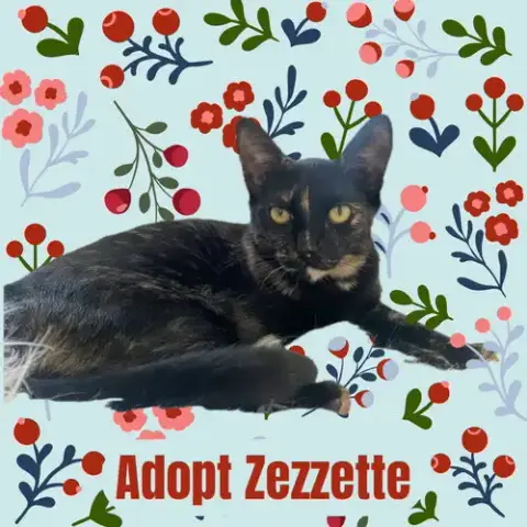 Zezzette