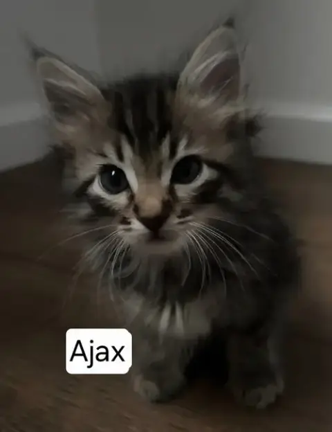 Allie photo 2