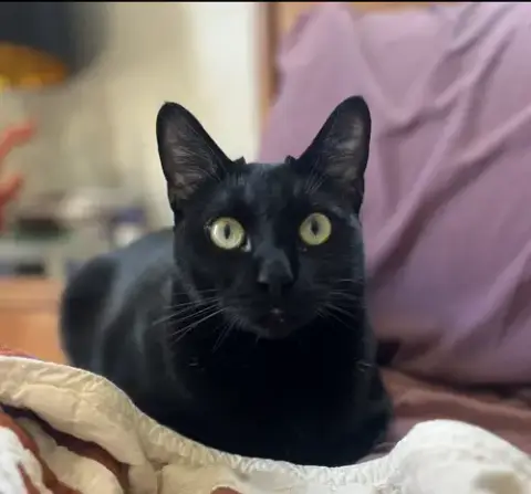 Kiki photo 2