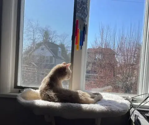 Flora photo 3