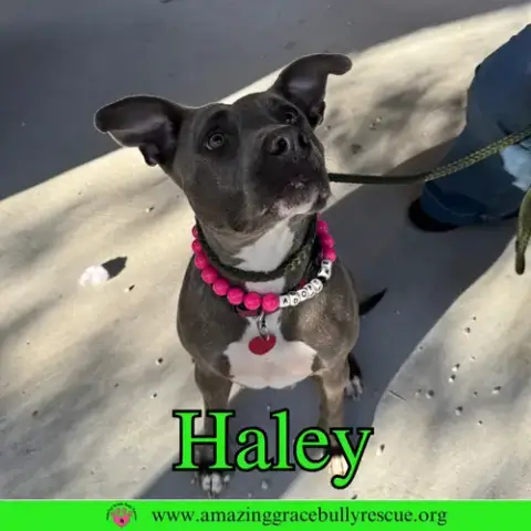 Haley photo 2