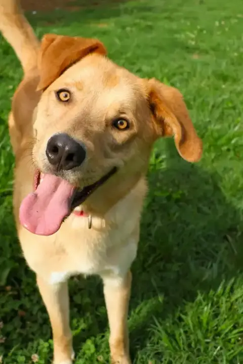 George: Not At Shelter
