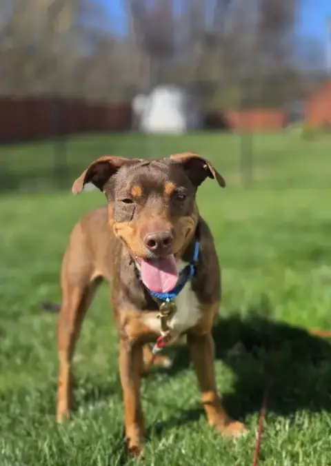 Penny Scas photo 4