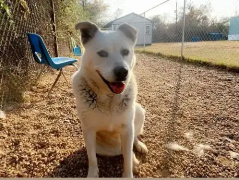 Tucker photo 4