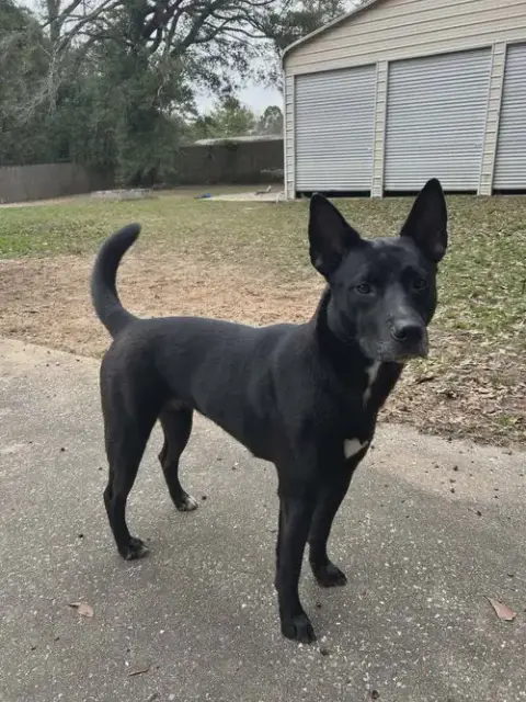Lucy 2