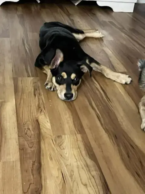 Hank photo 3