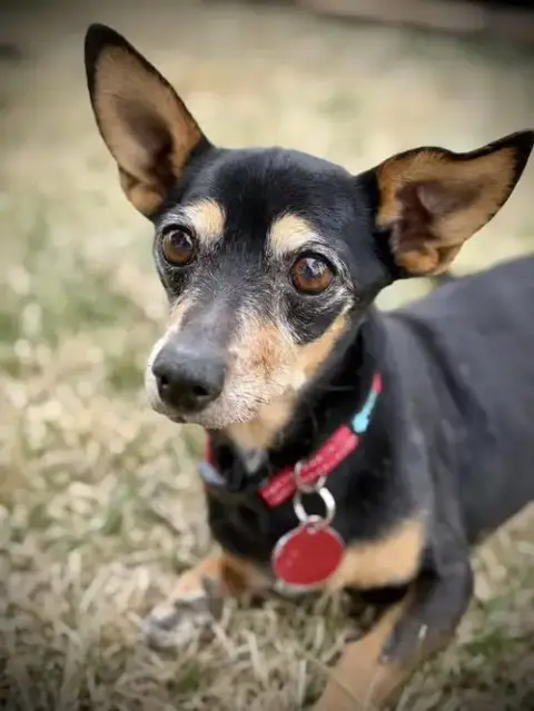 Jake