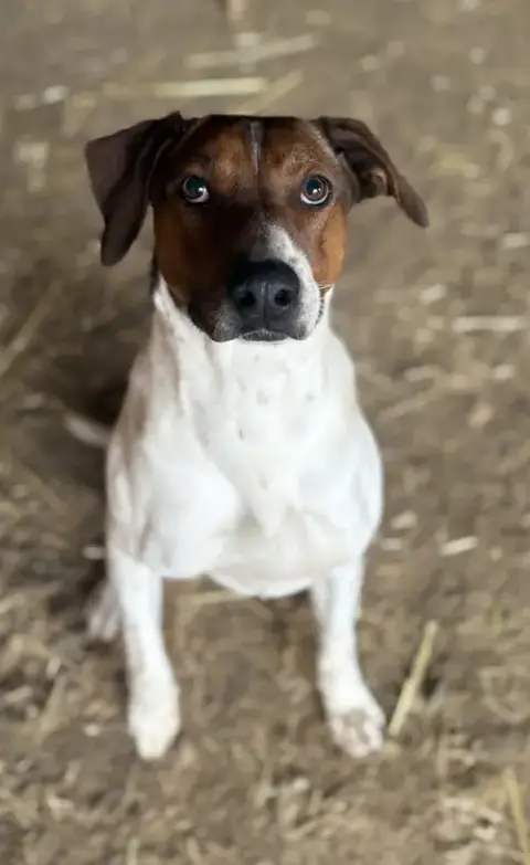 Sprocket photo 2